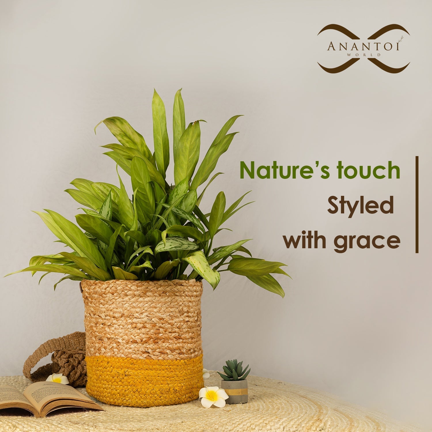 Planters - My Store
