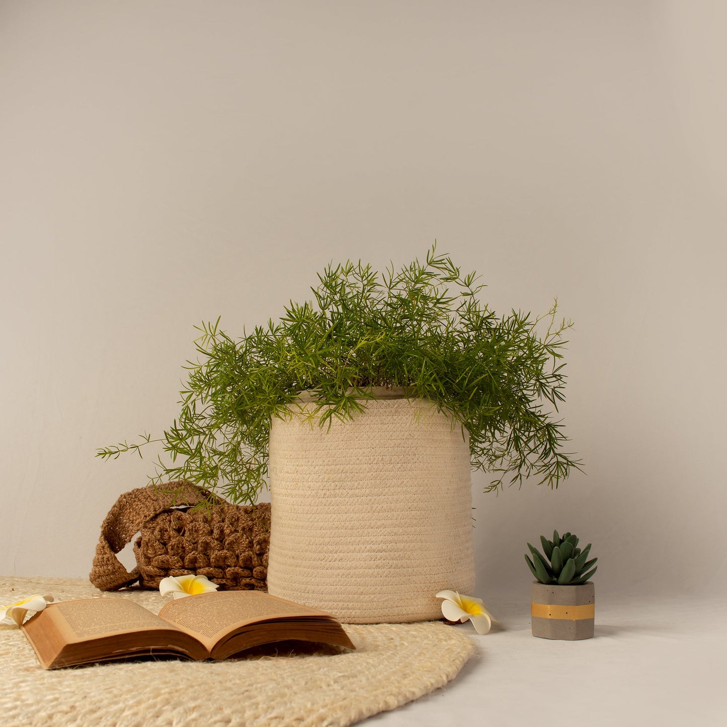 Cotton Planter - My Store - 