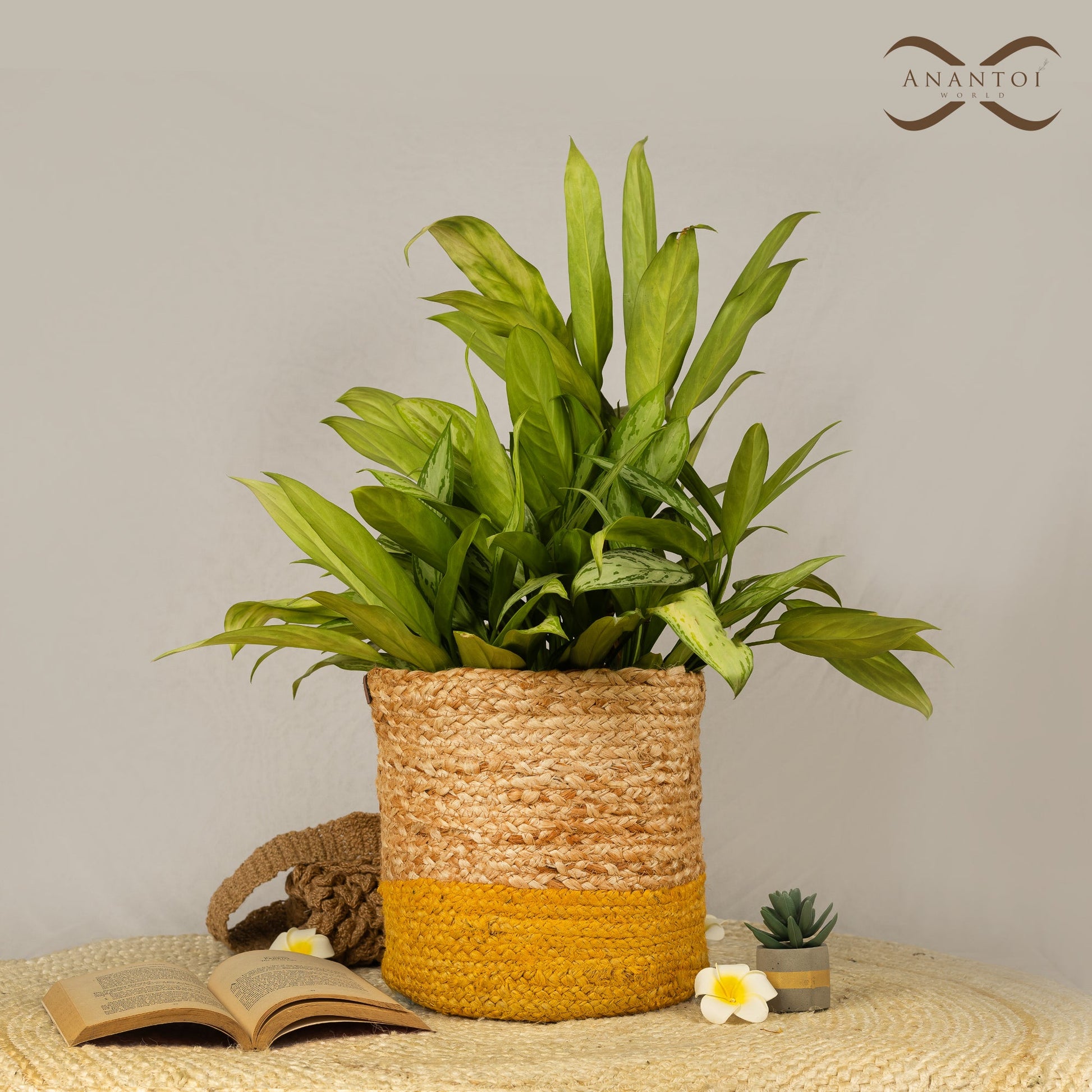Jute Planter Trio (Beige & Yellow) 3 Sizes - Anantoi - 