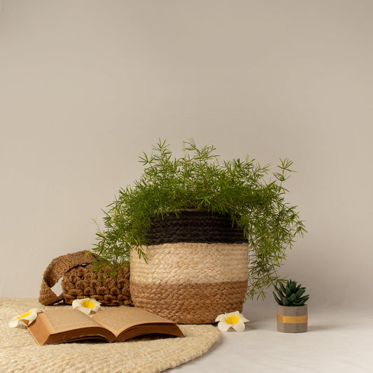 Tri Coloured Jute Planter - My Store - 